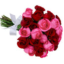 Buquê de 24 Rosas Vermelhas e Pink
